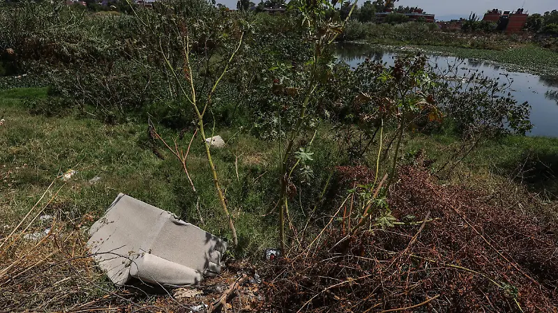 En el abandono, humedal de Cuautepec en GAM